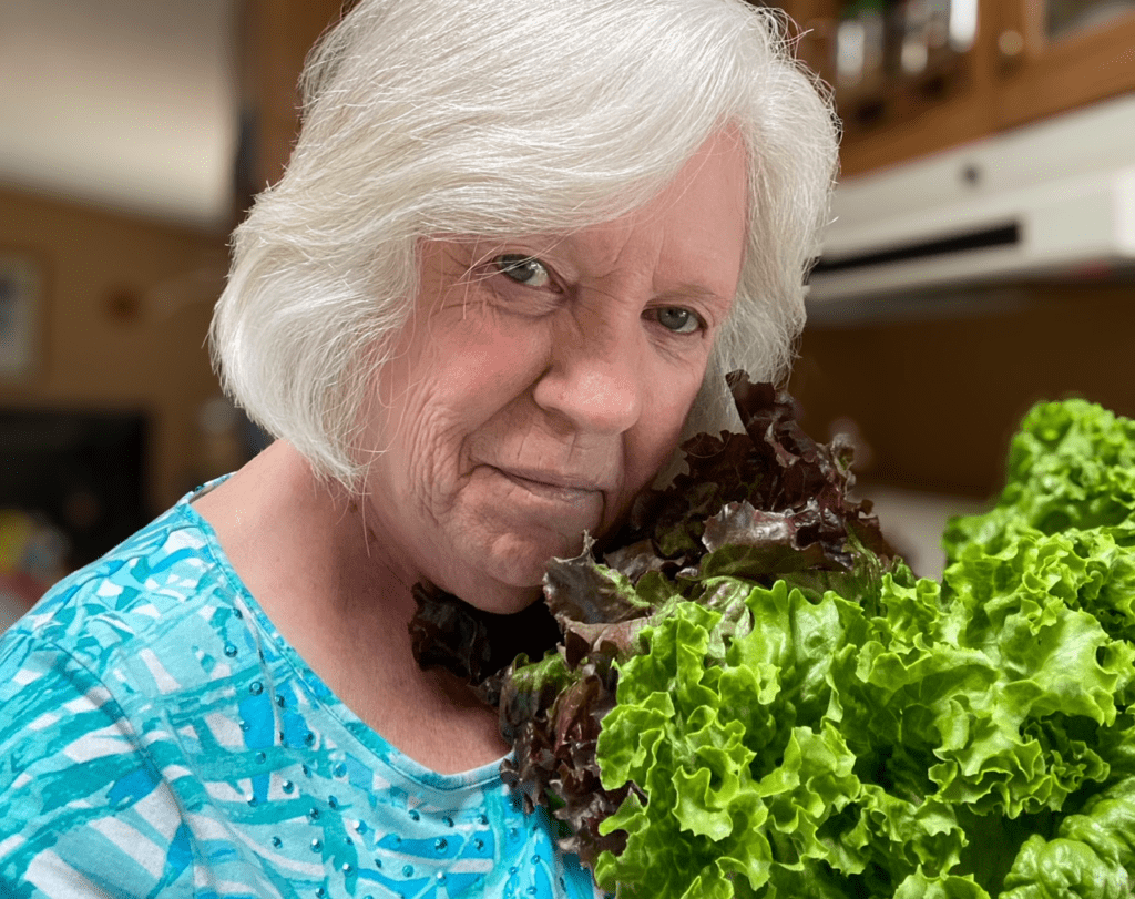 soup and salad recipes-Ricki Anne-About-Leaf No Broth Unturned